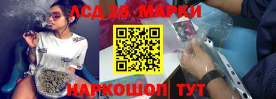 сатива Новозыбков