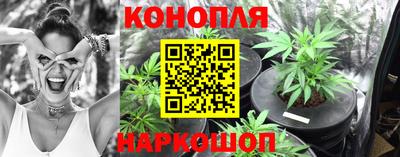 mdpv Новокубанск