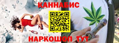 сатива Новозыбков