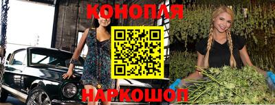 сатива Новозыбков