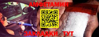 сатива Новозыбков