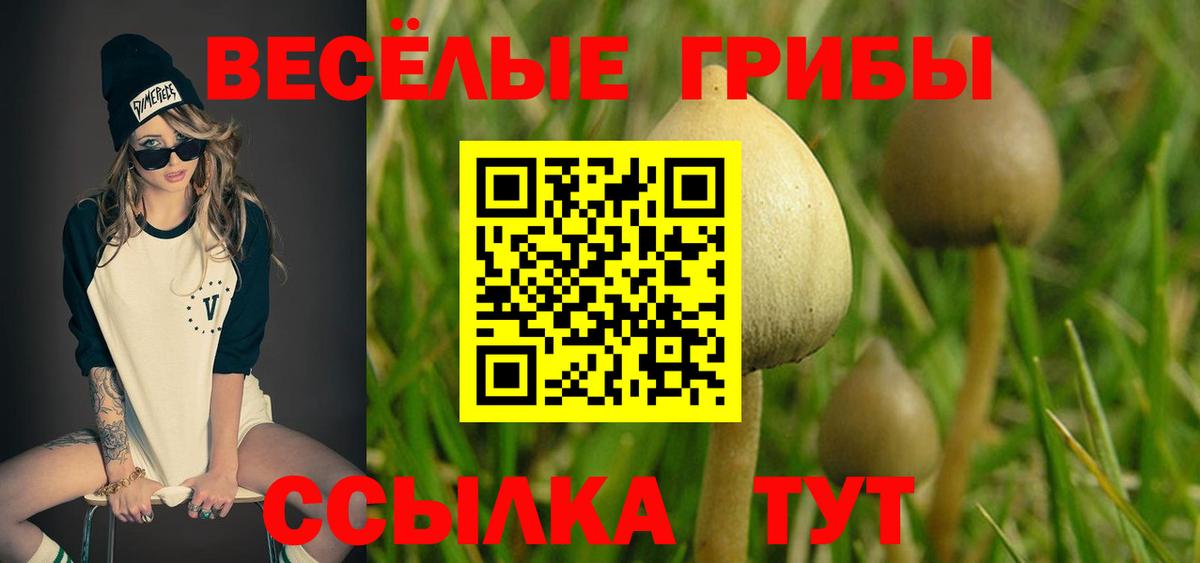 Углич  Галлюциногенные грибы GOLDEN TEACHER  Вход с VPN 